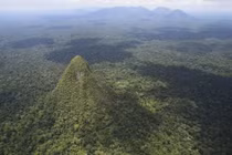 Bí ẩn cấu trúc hình kim tự tháp sâu trong rừng Amazon