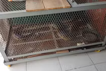 Chi tiết loài "mãng xà" quý hiếm dân giao nộp cho Kiểm lâm TP.HCM 