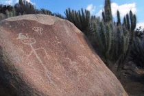 Bằng chứng thuyết phục về dấu vết người ngoài hành tinh trên Trái đất 