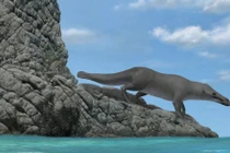 Phát hiện cá voi 4 chân 42 triệu tuổi, chuyên gia sửng sốt