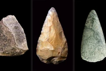 Một loài đã tiến hóa đủ để sử dụng công cụ như con người đồ đá