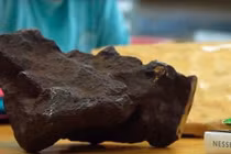 Tưởng cục đá vứt lăn lóc, ai ngờ là báu vật 2 tỷ đồng