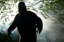 Vì sao con người khó bắt được quái vật Bigfoot?