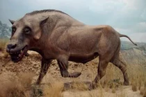 Bí ẩn quái thú “đầu chó, thân lợn” gây ám ảnh ở châu Phi