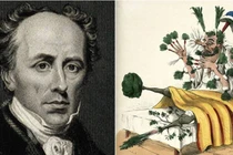 Bác sĩ “lang băm” thế kỷ 19 chữa bách bệnh bằng thuốc dởm