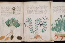 Tò mò những cuốn sách bí ẩn, kỳ lạ nhất thế giới