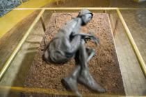 Xác ướp hoàn hảo hơn 2.400 tuổi có thể lấy được dấu vân tay