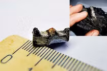 Xôn xao cổ vật nghi bánh răng UFO, chuyên gia lắc đầu không lời giải 