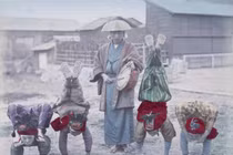 Ảnh màu tuyệt đẹp Nhật Bản hơn 100 năm trước 