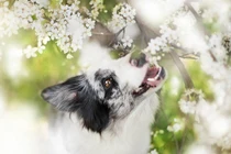 Cuối năm 3 con giáp vận xui đeo bám, dễ bị hao tài