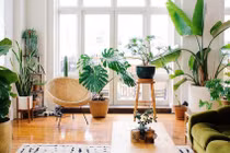 Ý tưởng trang trí nhà cửa với kinh phí thấp