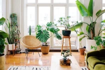 Ý tưởng trang trí nhà cửa với kinh phí thấp