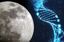 Bảo quản sự sống trên Mặt Trăng đề phòng Trái Đất xảy ra sự cố