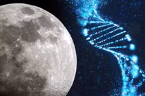 Bảo quản sự sống trên Mặt Trăng đề phòng Trái Đất xảy ra sự cố