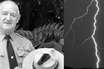 Hy hữu những pha thoát chết thần kỳ nổi tiếng thế giới