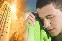 Lý do con người đổ mồ hôi nhiều trong những ngày nóng 