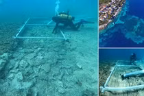 Kinh ngạc con đường cổ đại 7.000 năm ẩn mình dưới đáy biển