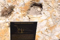 Săm soi 50 dấu chân khủng long khổng lồ, lộ sự thật gây choáng 