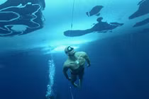 Những kỷ lục khó tin của “người cá” nổi tiếng nhất thế giới