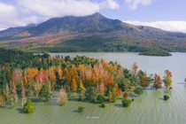  Bất ngờ khung cảnh rừng cây sau sau thay lá ở miền Tây Quảng Trị