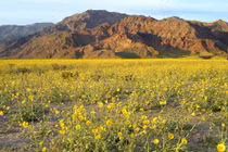 Sự thật bất ngờ về thung lũng mang tên tử thần