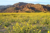 Sự thật bất ngờ về thung lũng mang tên tử thần