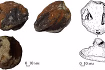 Kỳ bí hòn đá cổ hình đầu rắn kỳ dị, chuyên gia bó tay 