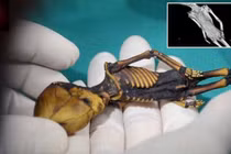 Cực nóng: Người tí hon có thật từng tồn tại trên Trái đất? 