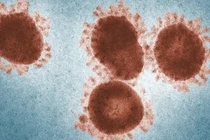 “Virus xác sống” bất ngờ hồi sinh, Trái đất liệu có gặp hoạ? 