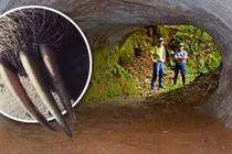 Bí ẩn những đường hầm khổng lồ ở Nam Mỹ: Do “quái vật” tạo ra? 