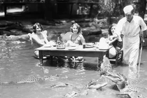 Loạt ảnh hiếm có khó tìm ghi dấu khoảnh khắc thú vị trong lịch sử