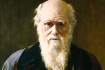Không chỉ khoa học, “cha đẻ” thuyết tiến hóa rất giỏi kiếm tiền 
