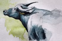 Tử vi tuần mới (5 - 11/5): 3 con giáp đón tài lộc