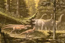 Lộ diện siêu quái thú ở “vùng đất ma cà rồng”, chuyên gia phát sốt 