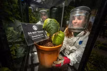 Thót tim khu vườn nguy hiểm nhất thế giới, sơ sểnh là mất mạng