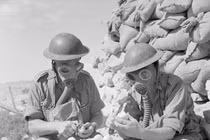 Loạt ảnh “quý như vàng” ghi dấu khoảnh khắc hiếm hoi trong lịch sử 