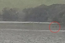 Xôn xao bằng chứng về sự tồn tại của quái vật hồ Loch Ness