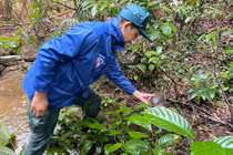 10 cá thể động vật ở Quảng Bình quý sao được thả về tự nhiên?