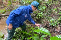 10 cá thể động vật ở Quảng Bình quý sao được thả về tự nhiên?