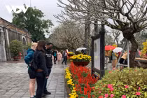 Người dân, du khách chọn Huế, Hội An du xuân đầu năm