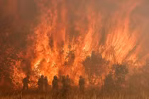 5 thảm họa thiên nhiên kinh hoàng nhất thế giới năm 2022