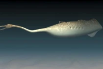 Bí ẩn quái vật cổ đại có mắt nhô ra khỏi cơ thể