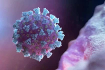 3 biến chủng nCoV mới nguy hiểm sao khiến chuyên gia lo ngại? 