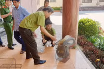 Vườn Quốc gia Vũ Quang tiếp nhận rắn hổ mang chúa: Loài cực hiếm!