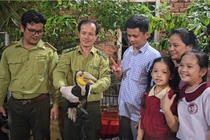 Top động vật quý hiếm lơ ngơ đi lạc nhà dân, bất ngờ số 5 