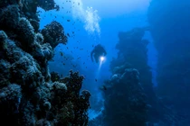 Hé lộ bí mật giấu kín ở địa điểm sâu nhất trên Trái đất