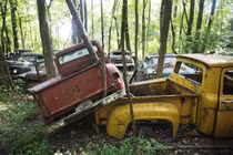 Ghé thăm “nghĩa địa” xe cổ lớn nhất thế giới nằm giữa rừng