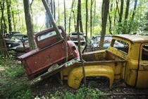 Ghé thăm “nghĩa địa” xe cổ lớn nhất thế giới nằm giữa rừng