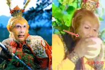 Tò mò 2 loại quả trường sinh trong Tây Du Ký