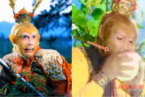 Tò mò 2 loại quả trường sinh trong Tây Du Ký